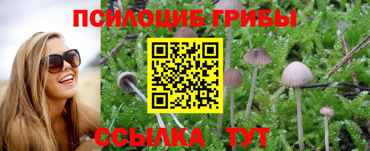 Галлюциногенные грибы Magic Shrooms  Вход с VPN  Псилоцибиновые грибы MAGIC MUSHROOMS  Новоуральск 